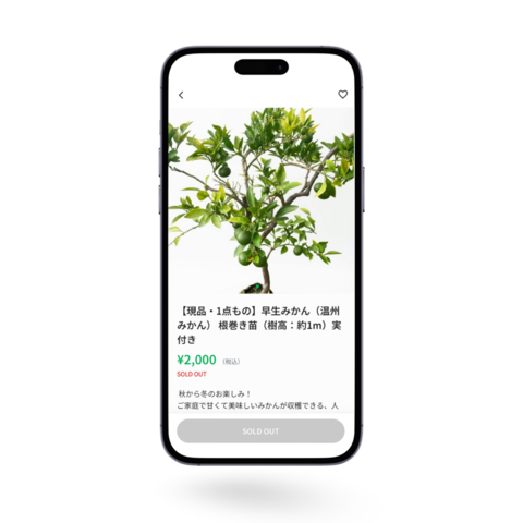 商品詳細