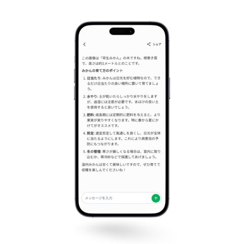 診断結果